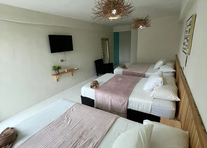 Hotel Cacao *