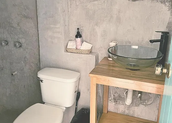 Cacao Cozumel